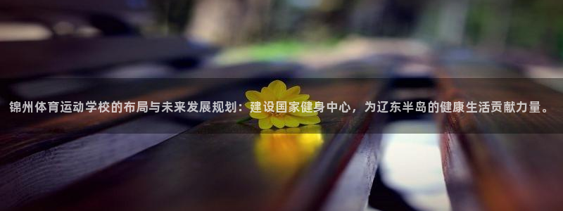 锦州体育运动学校的布局与未来发展规划：建设国家健身中心，为辽东半岛的健康生活贡献力量。