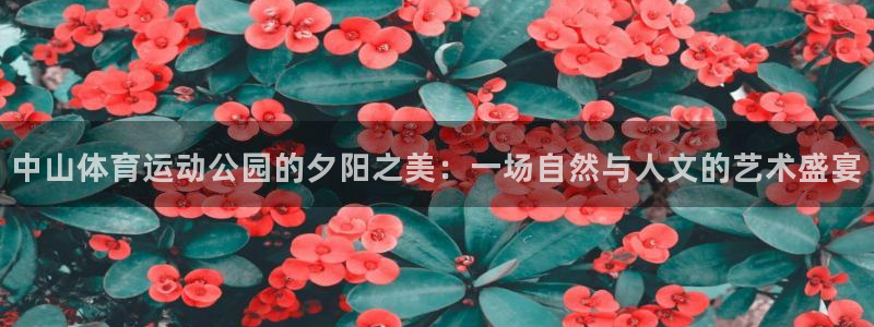 中山体育运动公园的夕阳之美：一场自然与人文的艺术盛宴