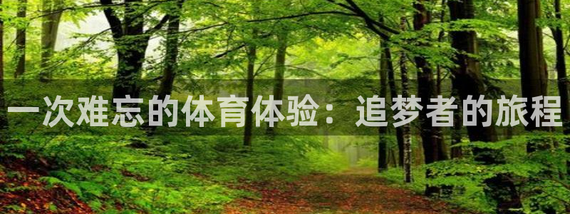 一次难忘的体育体验：追梦者的旅程