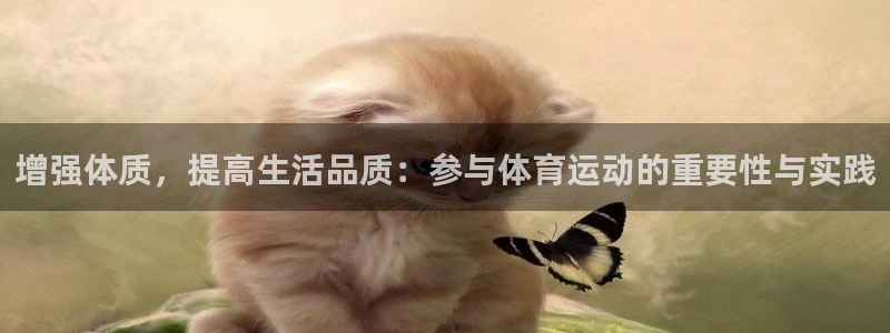 增强体质，提高生活品质：参与体育运动的重要性与实践