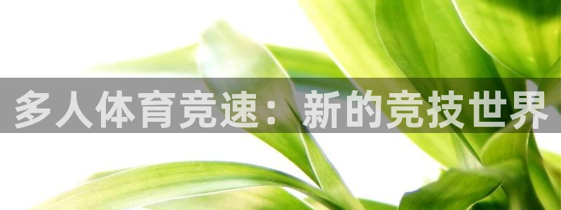 多人体育竞速：新的竞技世界